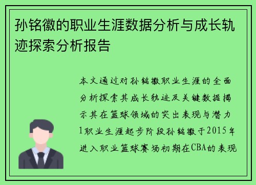 孙铭徽的职业生涯数据分析与成长轨迹探索分析报告