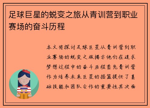 足球巨星的蜕变之旅从青训营到职业赛场的奋斗历程