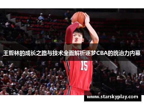王哲林的成长之路与技术全面解析逐梦CBA的统治力内幕