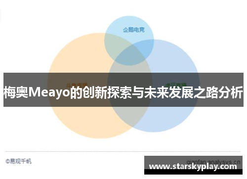 梅奥Meayo的创新探索与未来发展之路分析