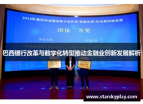 巴西银行改革与数字化转型推动金融业创新发展解析