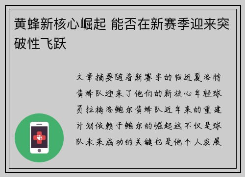 黄蜂新核心崛起 能否在新赛季迎来突破性飞跃