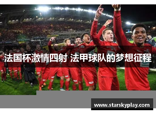 法国杯激情四射 法甲球队的梦想征程