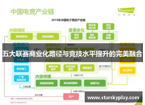 五大联赛商业化路径与竞技水平提升的完美融合